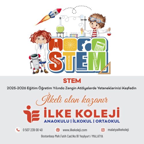 stem-01